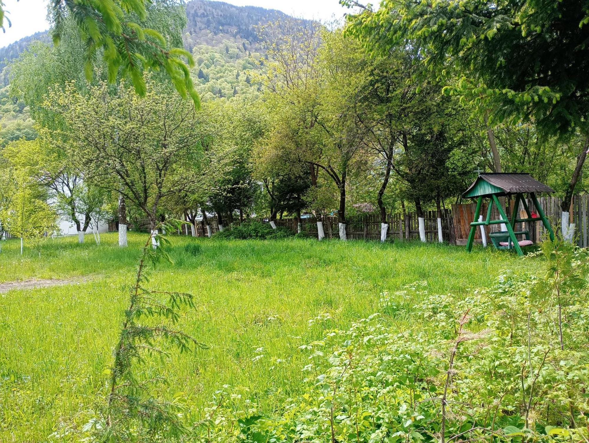 Pensiunea Irina 1 Si 2 Zărneşti Exteriér fotografie