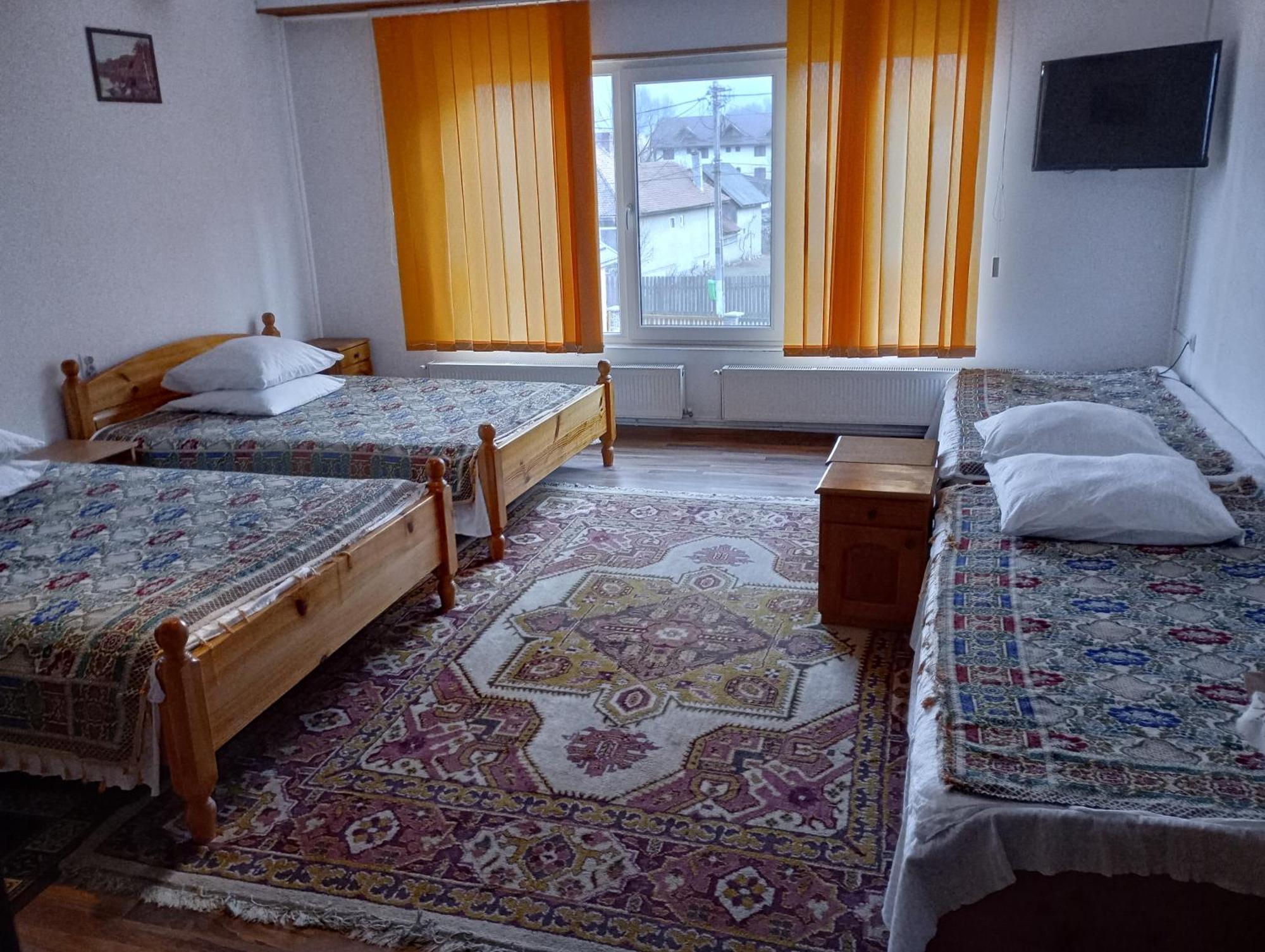 Pensiunea Irina 1 Si 2 Zărneşti Exteriér fotografie