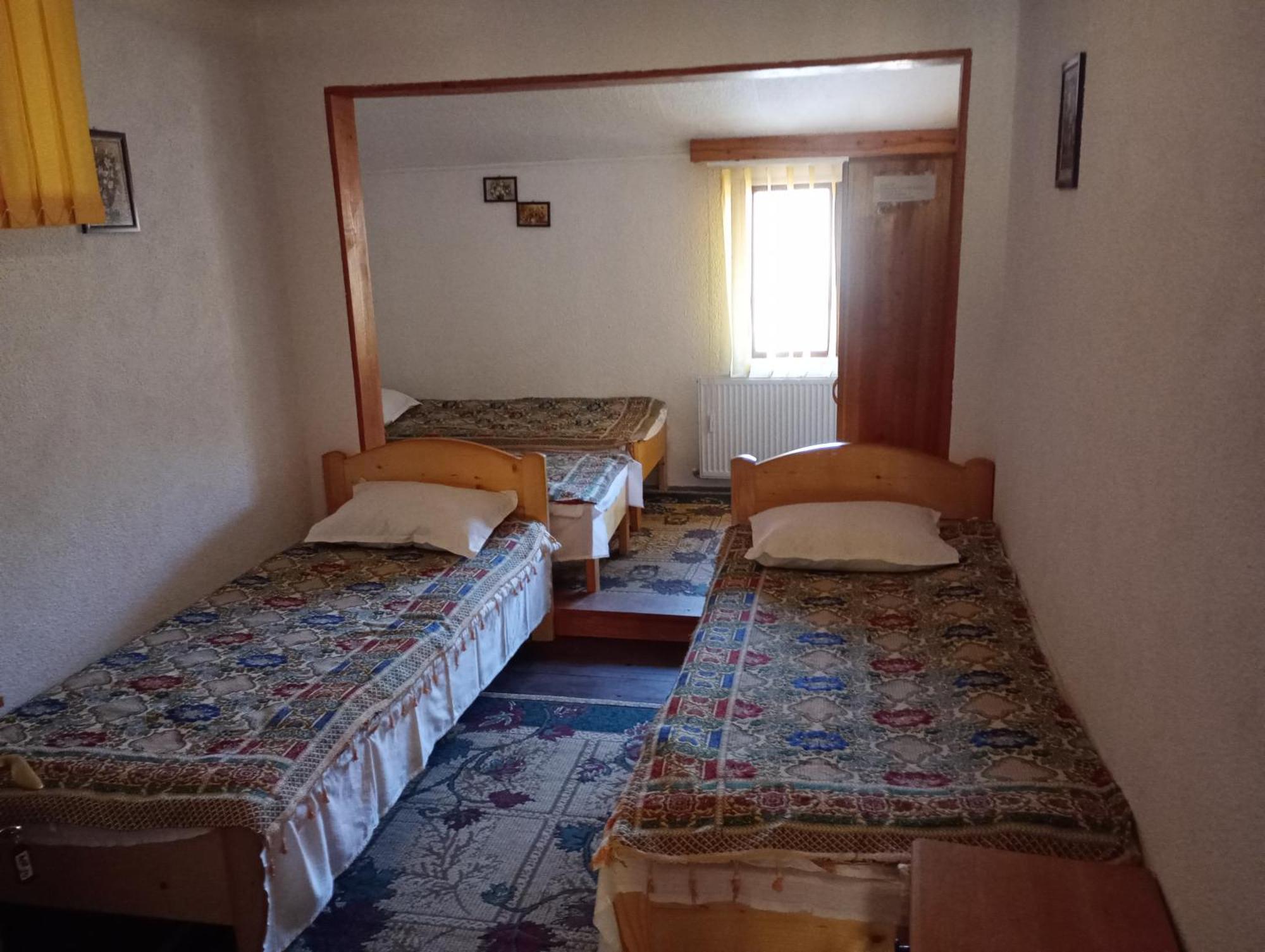 Pensiunea Irina 1 Si 2 Zărneşti Exteriér fotografie