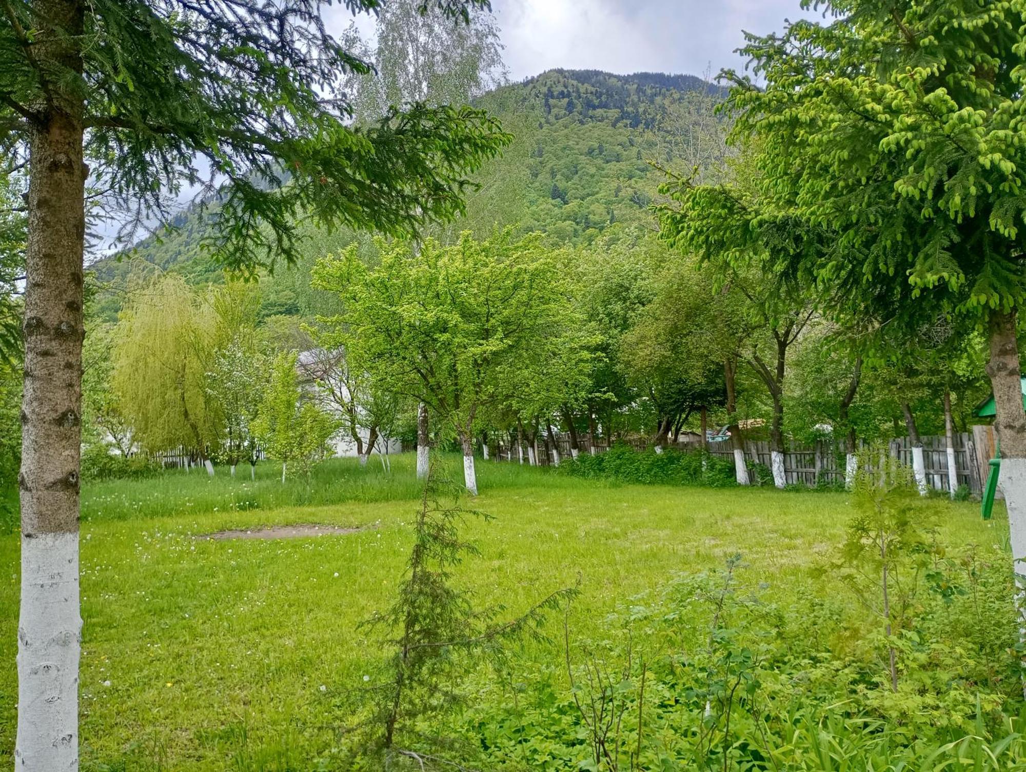 Pensiunea Irina 1 Si 2 Zărneşti Exteriér fotografie
